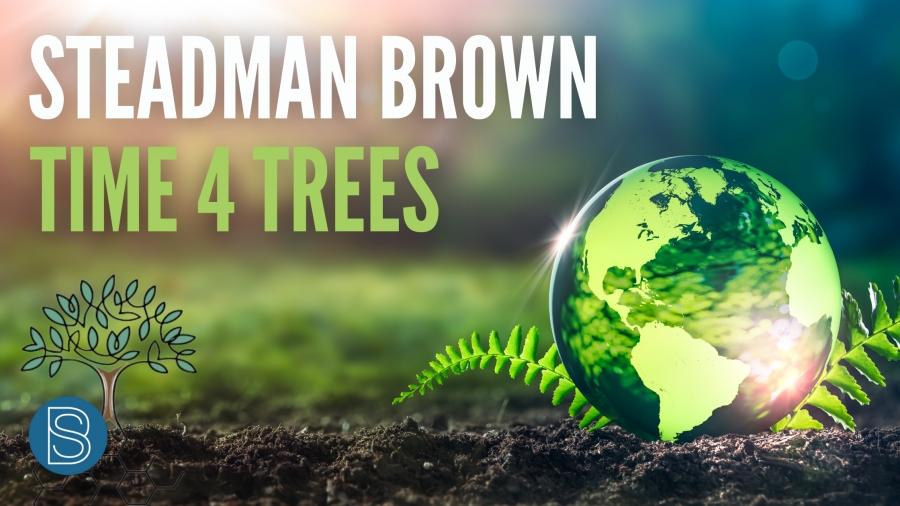 Time4Trees - Our Promise to you!