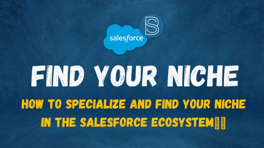 Specialize and Find Your Niche in the Salesforce Ecosystem