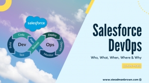Salesforce DevOps - Who, What, When, Where &amp; Why!