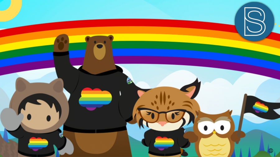 With new gender identity and pronoun options, Salesforce Products become more inclusive!