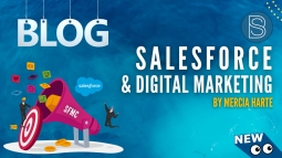Salesforce & Digital Marketing (SFMC)