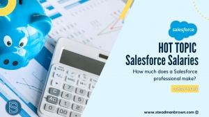 Hot Topic - Salesforce Salaries